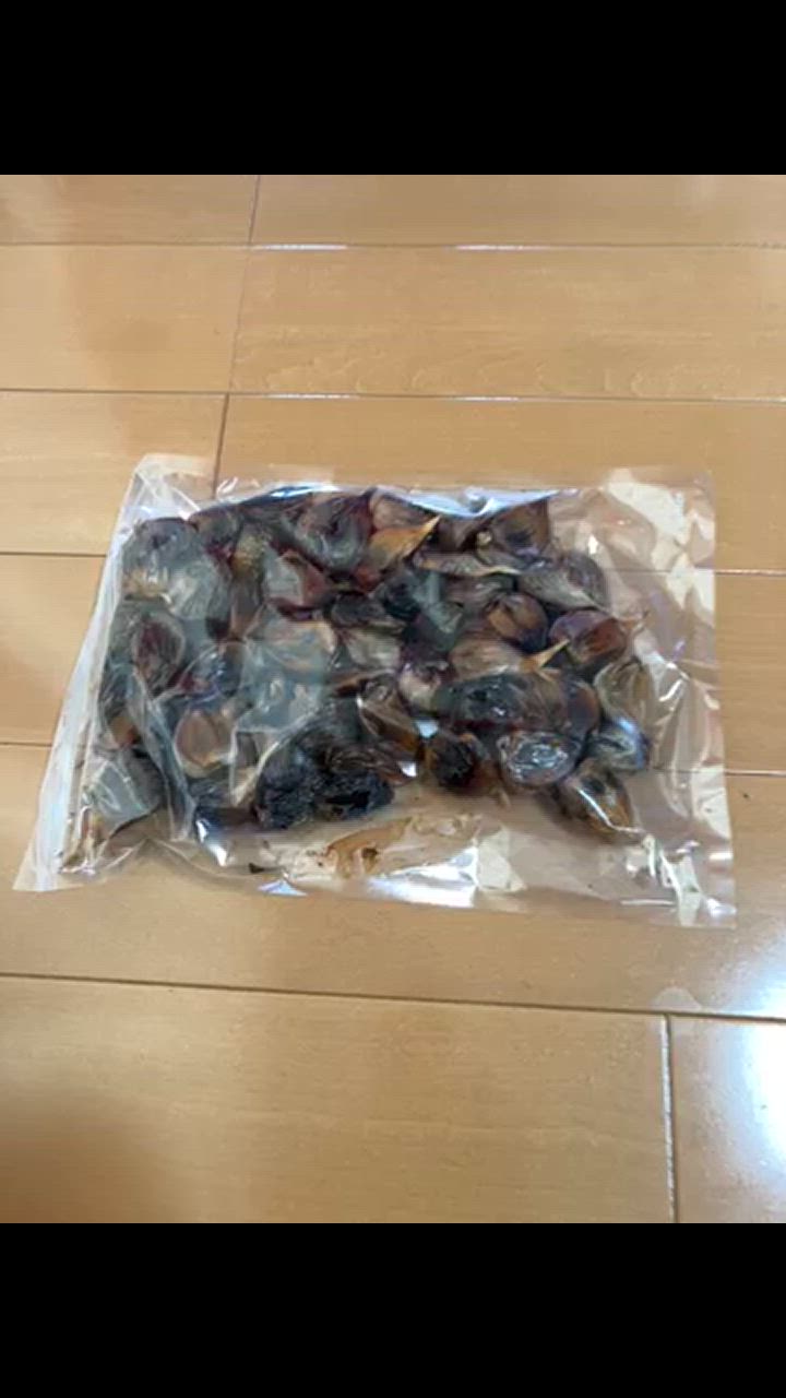 全体のレビュー動画のサムネイル | 10