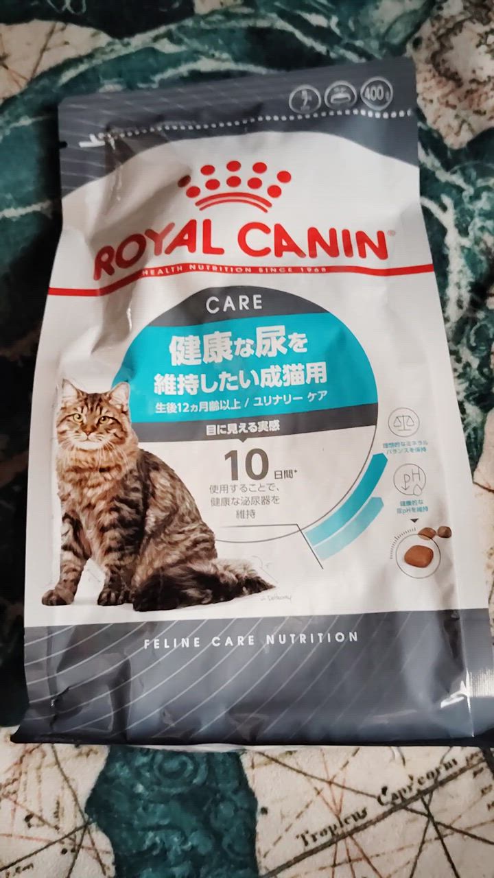 全体のレビュー動画のサムネイル | 0