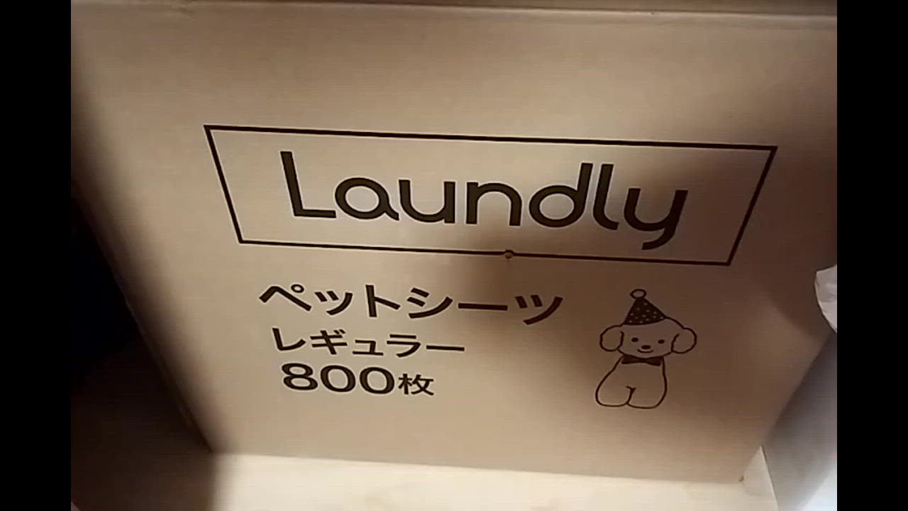 全体のレビュー動画のサムネイル | 15