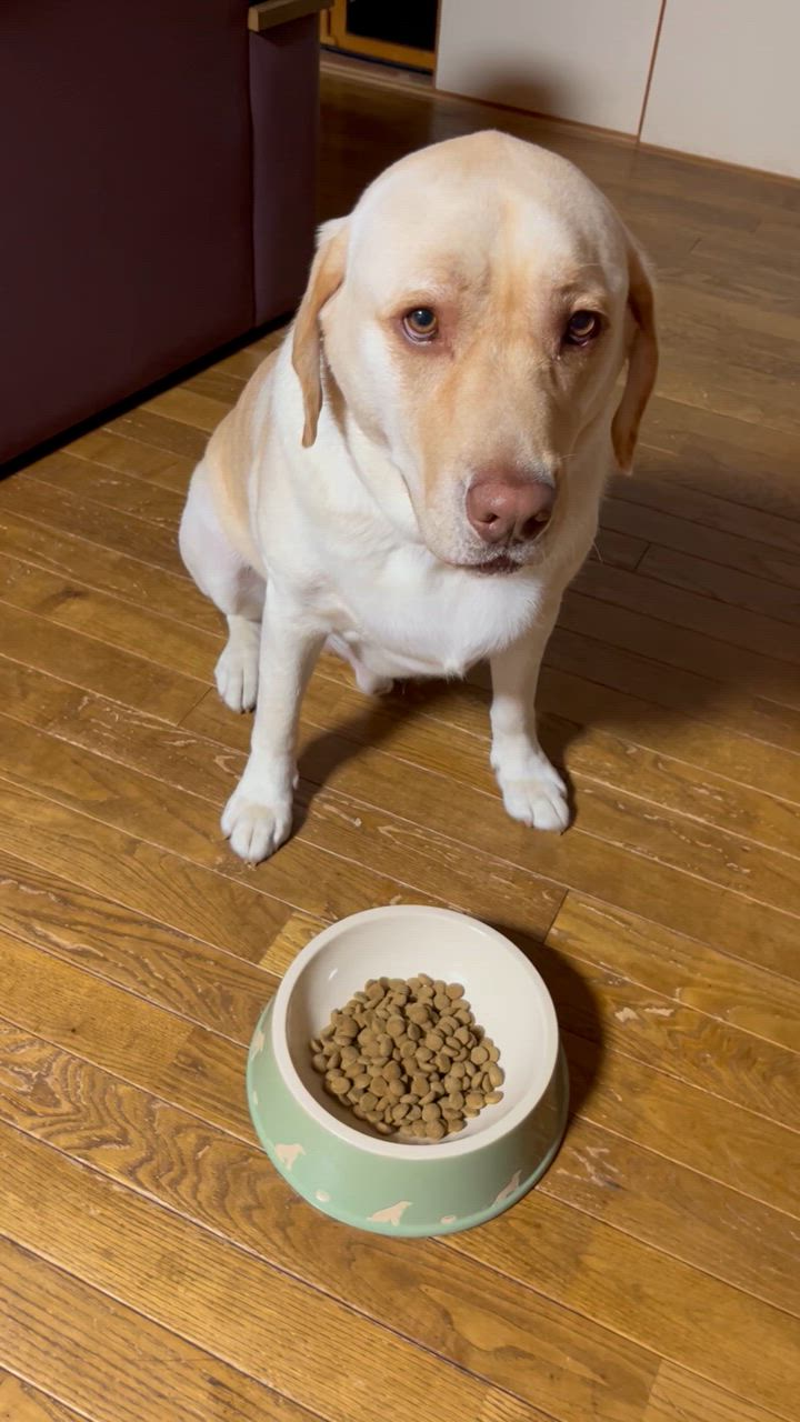 ハッピードッグ HAPPY DOG フィット＆バイタル ライト カロリー