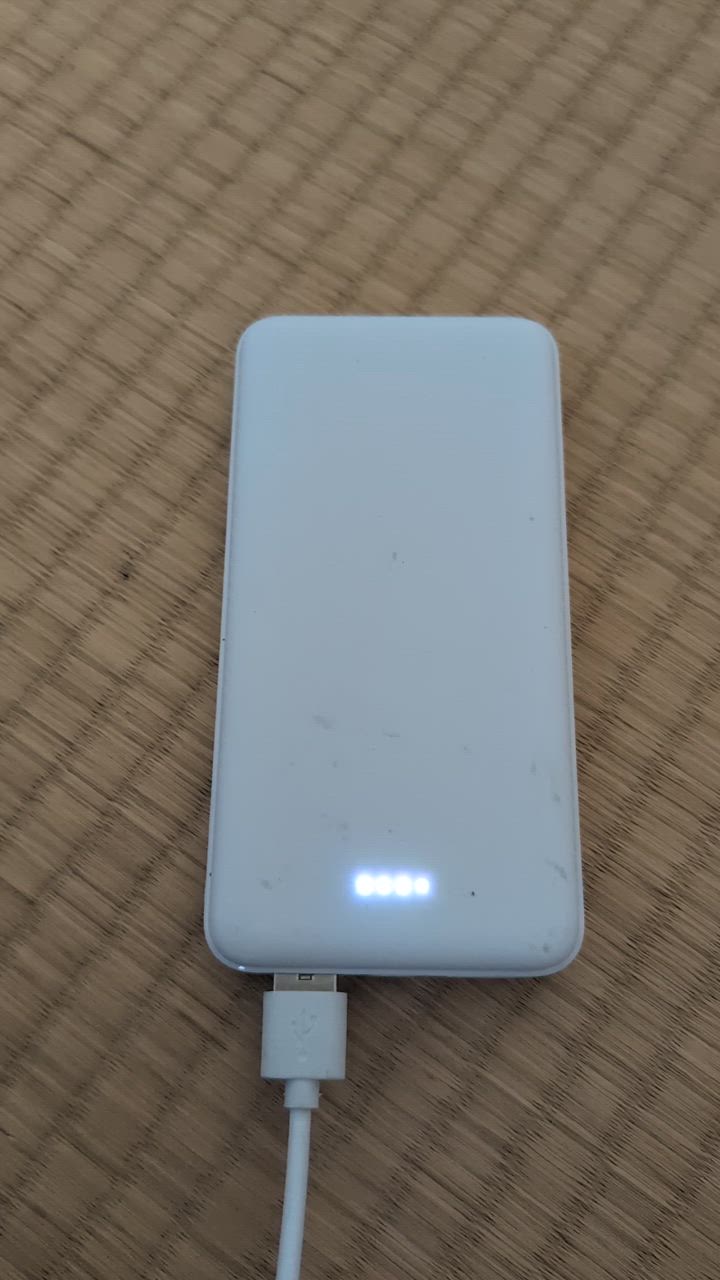 全体のレビュー動画のサムネイル | 17