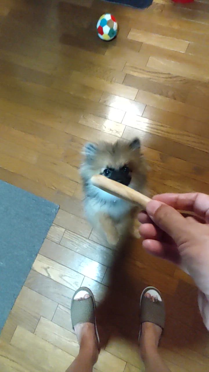 1件目のレビュー動画のサムネイル | 0