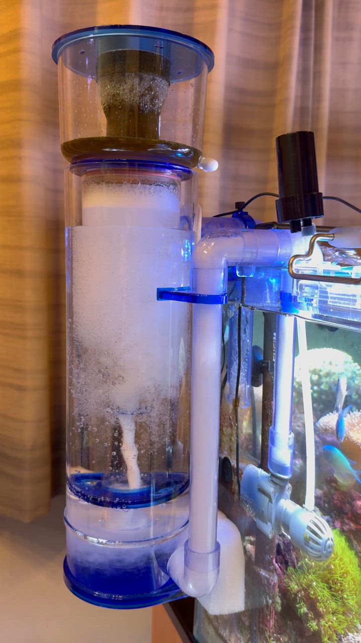 AQUA EXCEL プロテインスキマー 水槽 オーバーフロー水槽 海水 サンゴ 対応水量300L プロテインスキマー アクアエクセル AE-100H