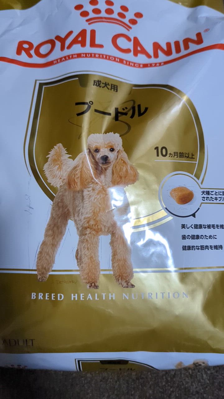 ロイヤルカナン BHN プードル 成犬用 生後10ヵ月齢以上 3kg (犬