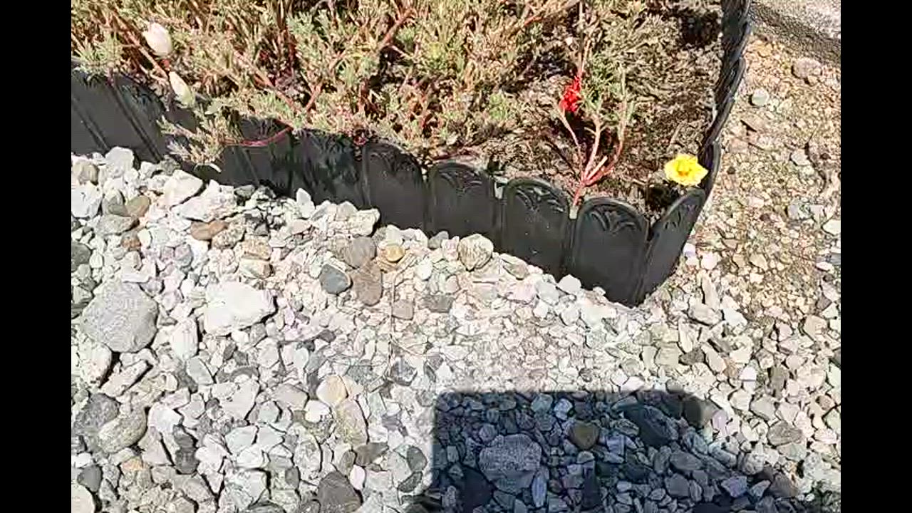 2件目のレビュー動画のサムネイル | 0