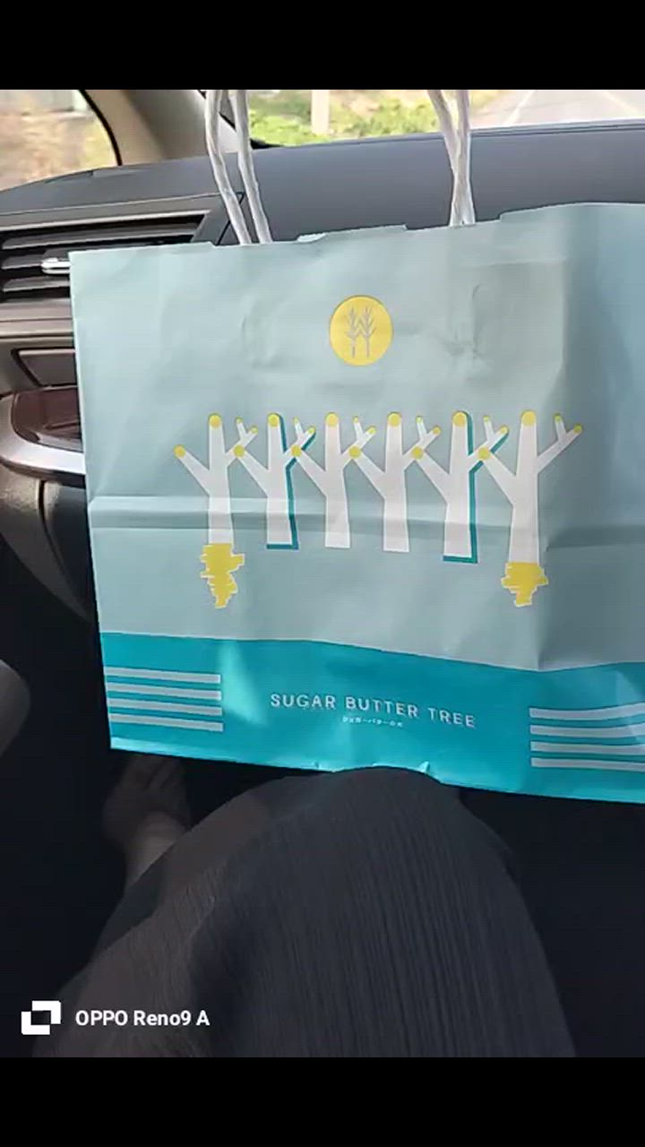 全体のレビュー動画のサムネイル | 1