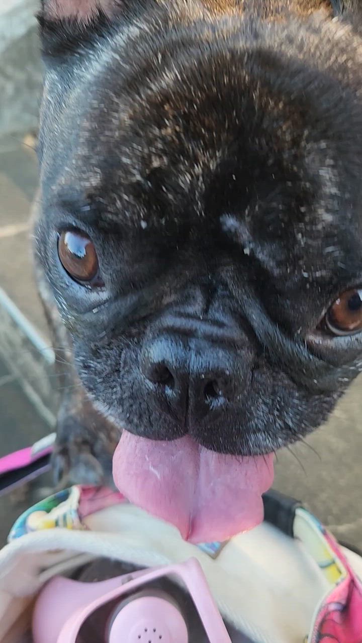 全体のレビュー動画のサムネイル | 1