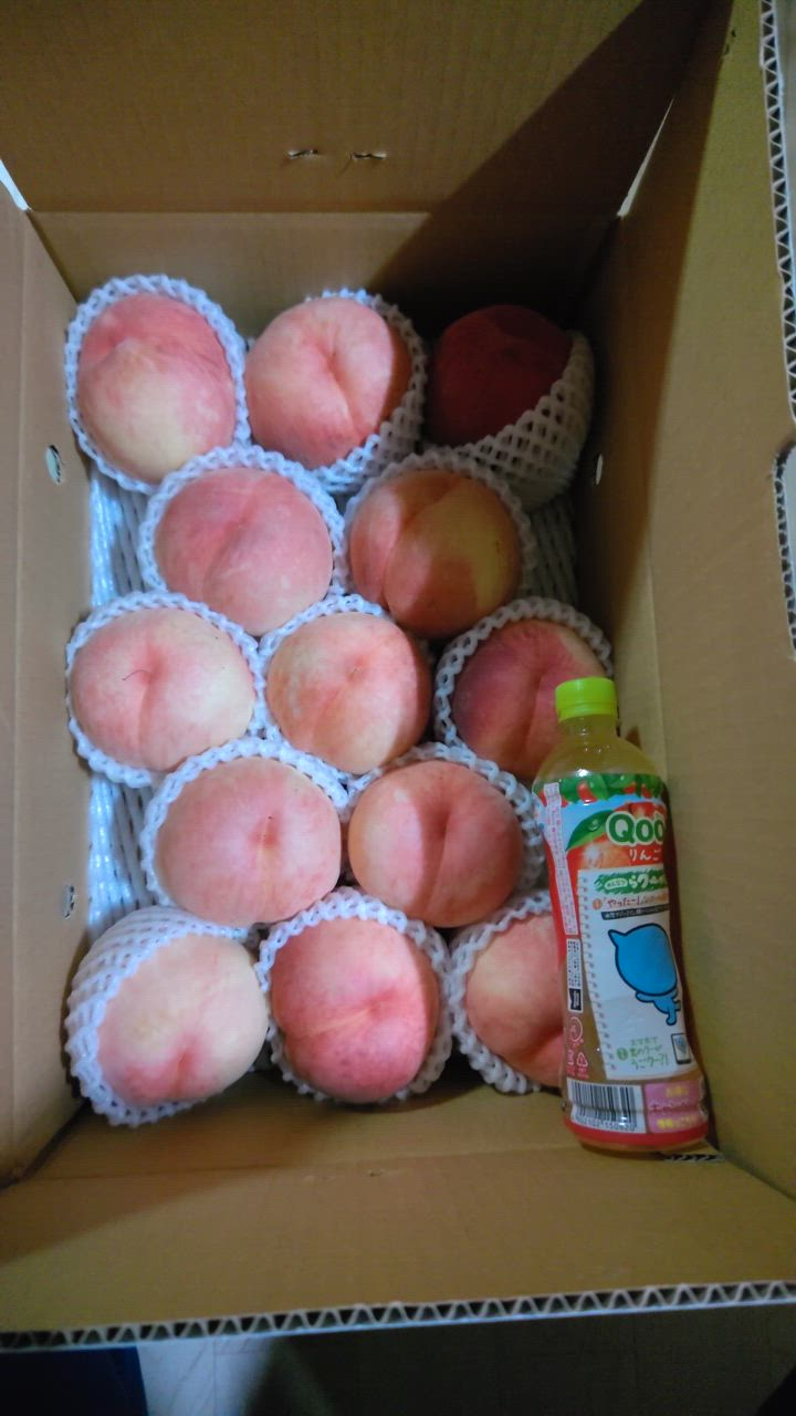 訳あり-夏むすめ かたい桃 家庭用 5kg 数量限定 もも ガリガリ桃
