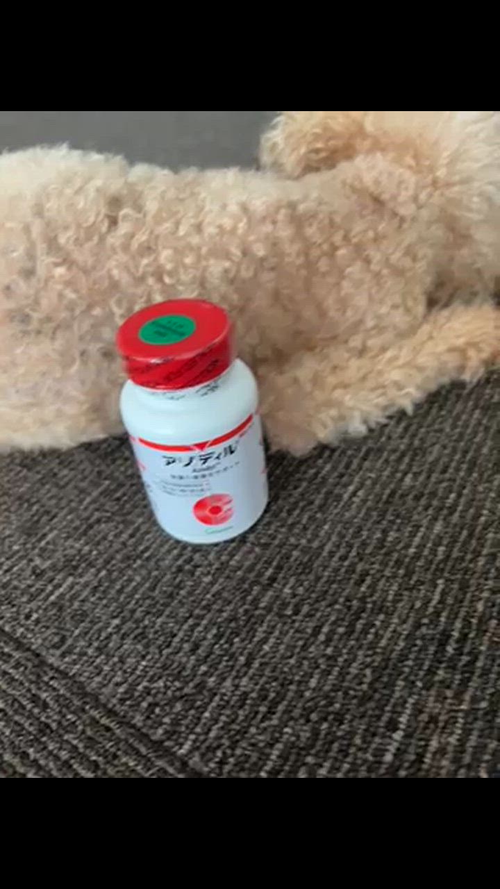 全体のレビュー動画のサムネイル | 2