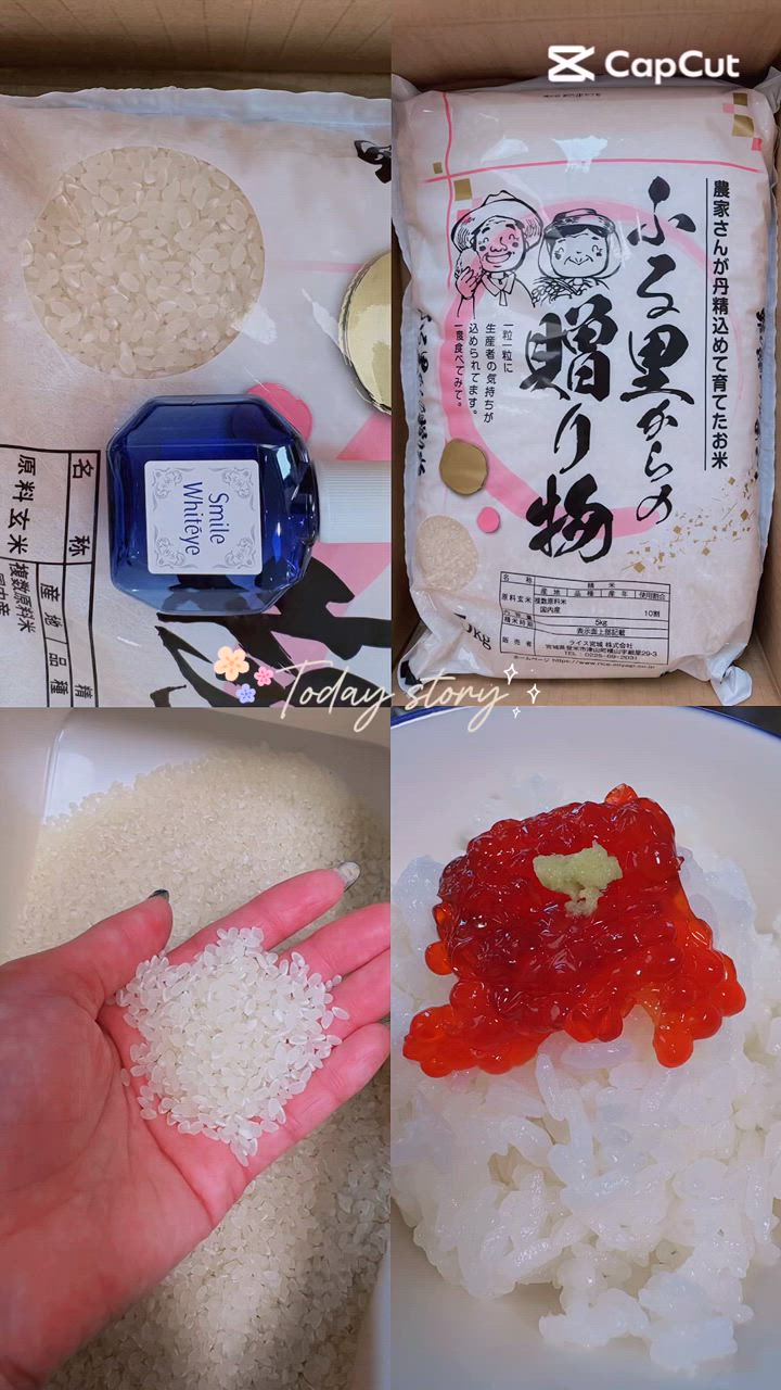 4,490円【訳あり品 産地未検査米】 愛蔵米 白米 5kg 【当店で