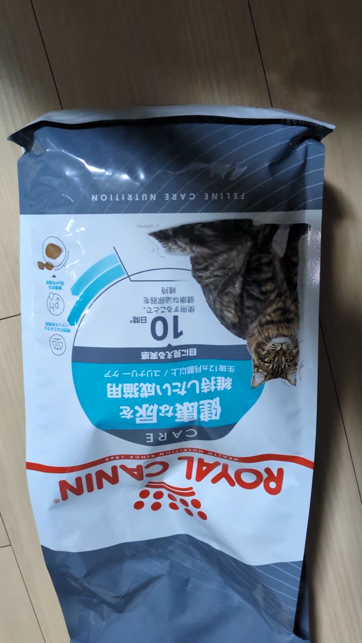 全体のレビュー動画のサムネイル | 2