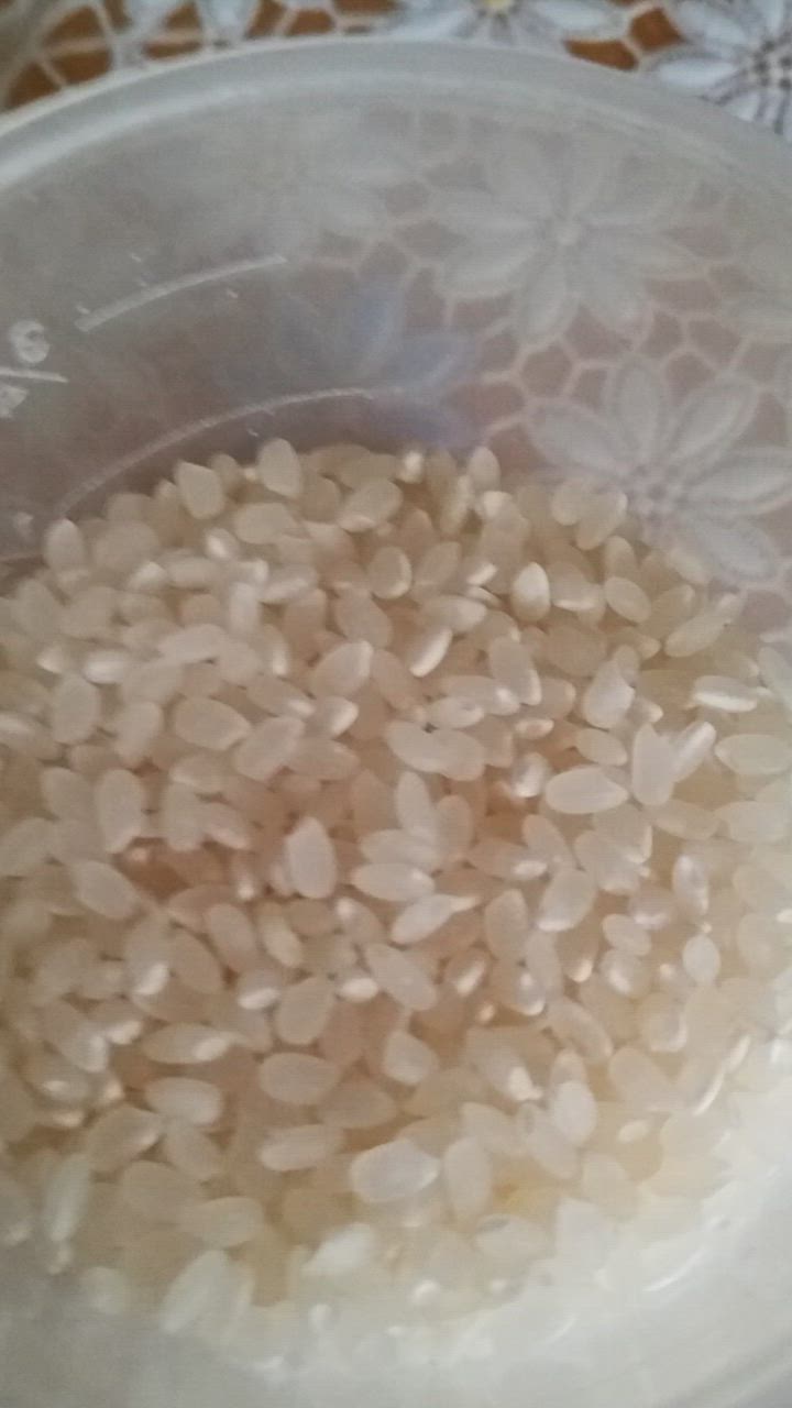 コシヒカリ 初購入10%offクーポン 新米10kg コシヒカリ【キラ