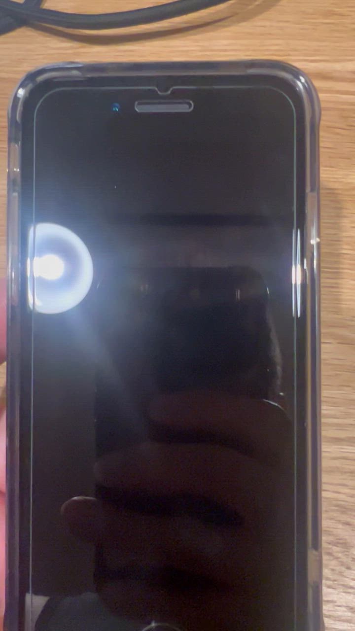 全体のレビュー動画のサムネイル | 4