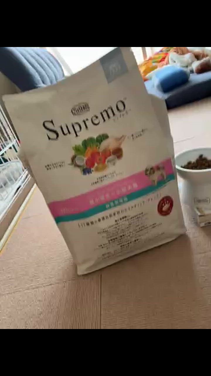 全体のレビュー動画のサムネイル | 2