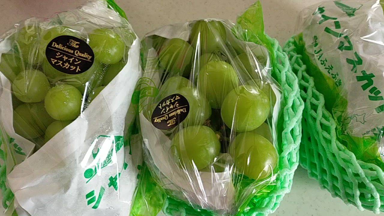 全体のレビュー動画のサムネイル | 0