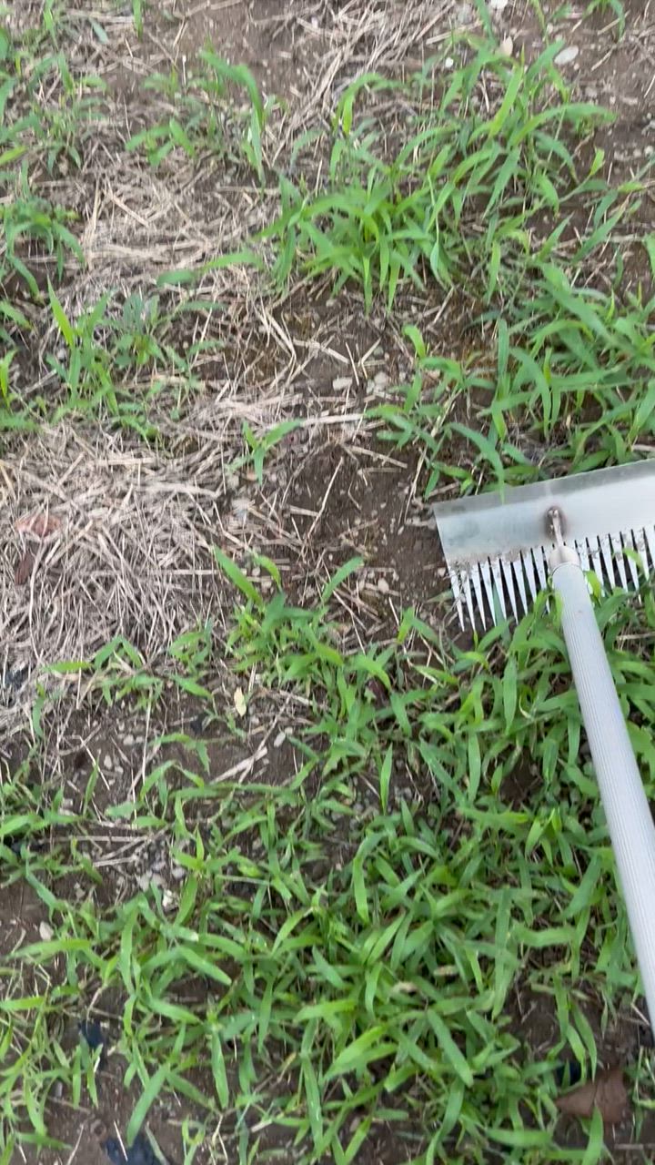 全体のレビュー動画のサムネイル | 0