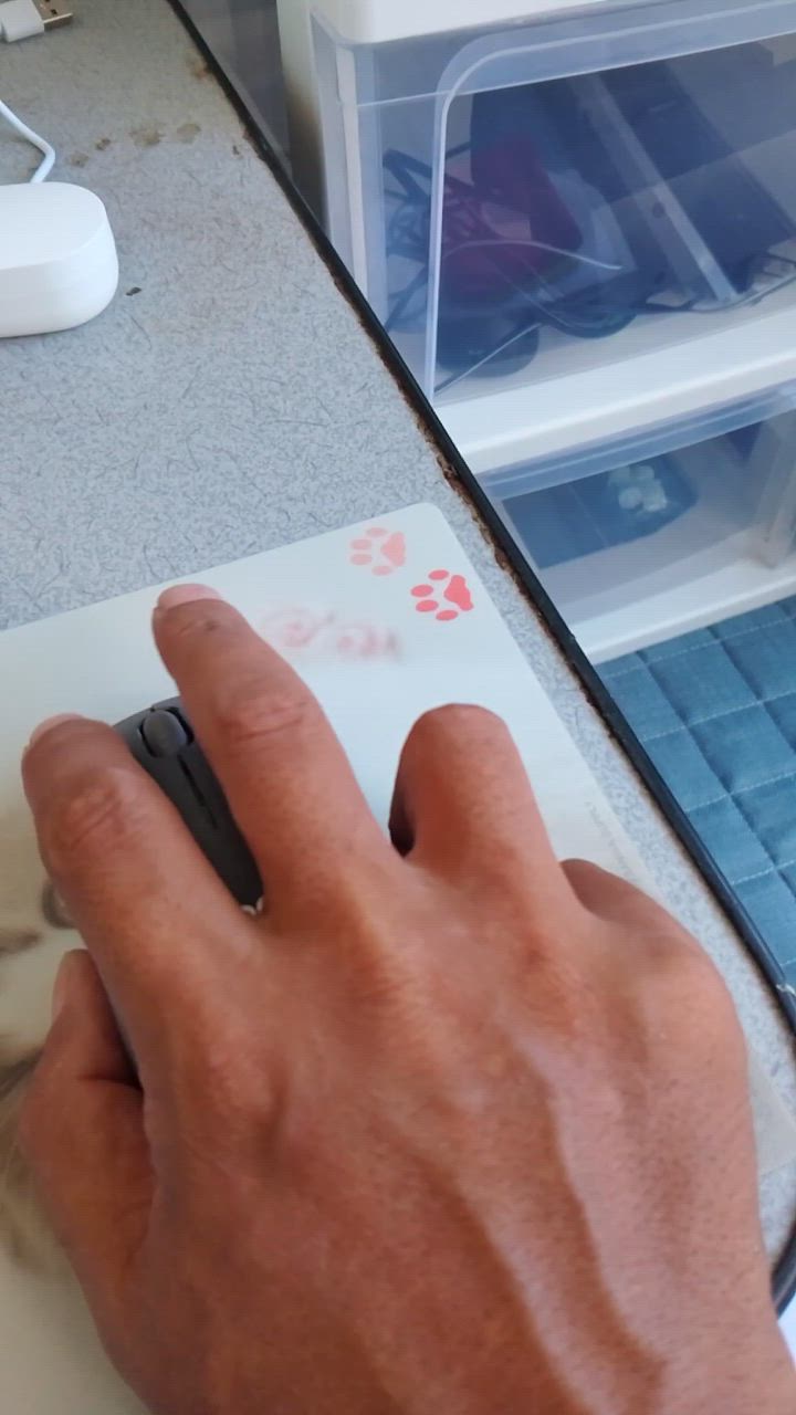 全体のレビュー動画のサムネイル | 10