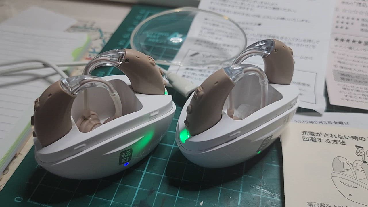 全体のレビュー動画のサムネイル | 0