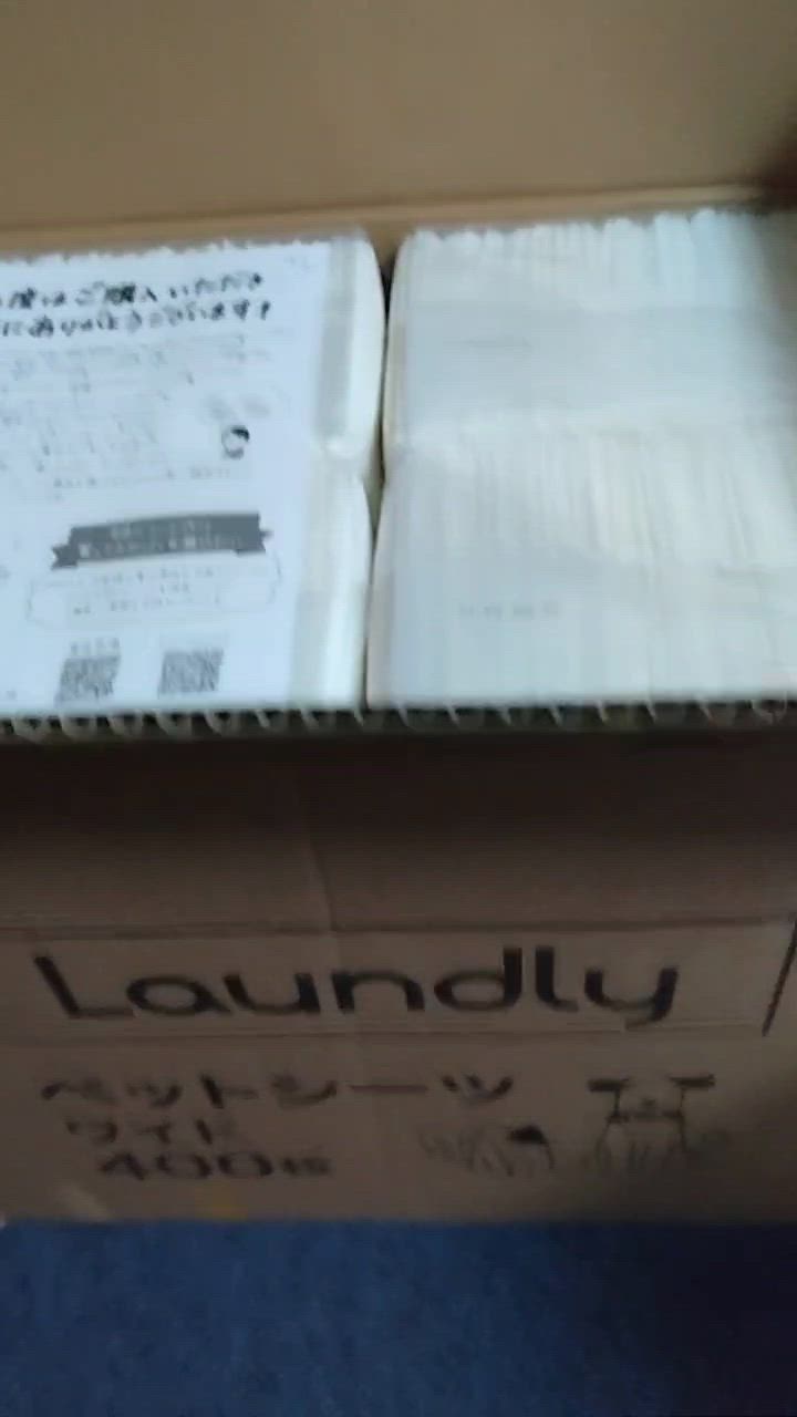 全体のレビュー動画のサムネイル | 10