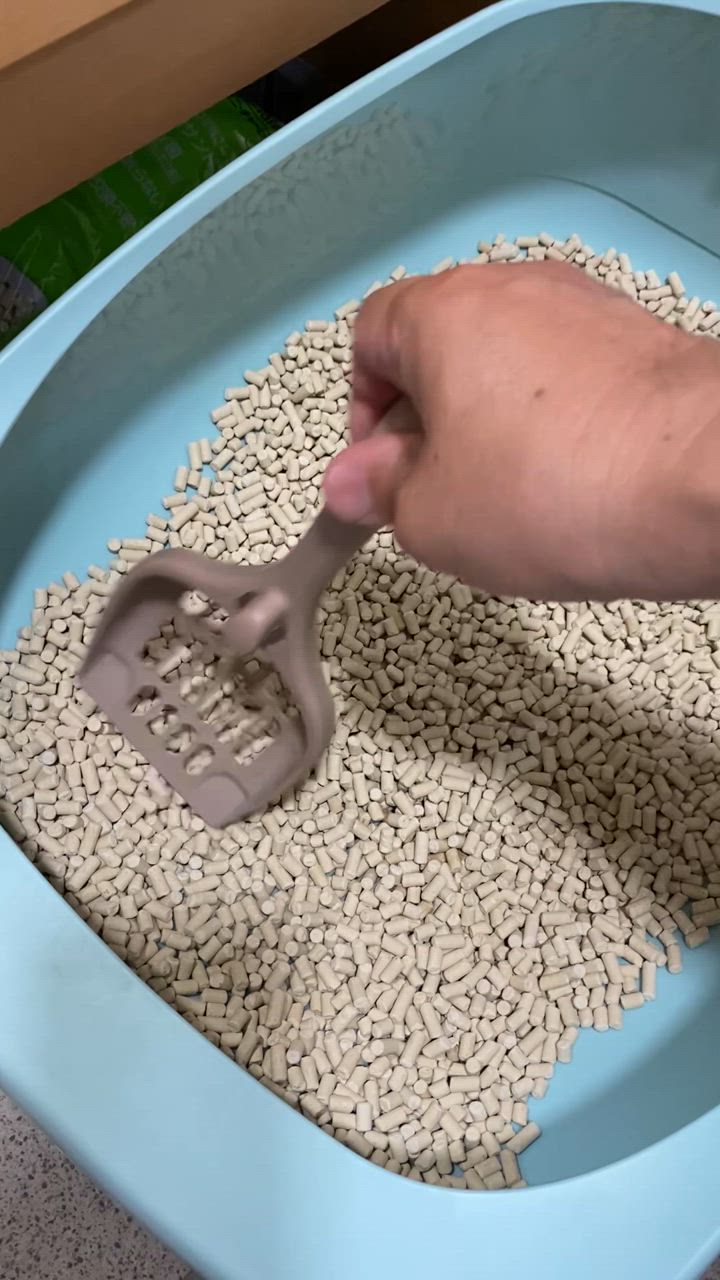 全体のレビュー動画のサムネイル | 2