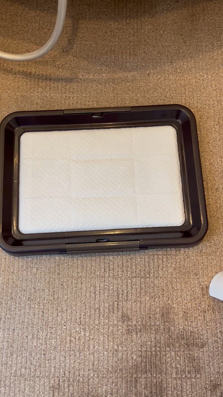 全体のレビュー動画のサムネイル | 19