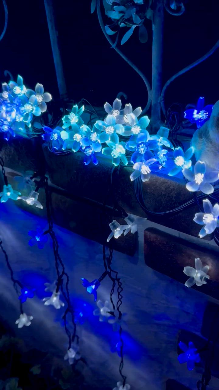 全体のレビュー動画のサムネイル | 1