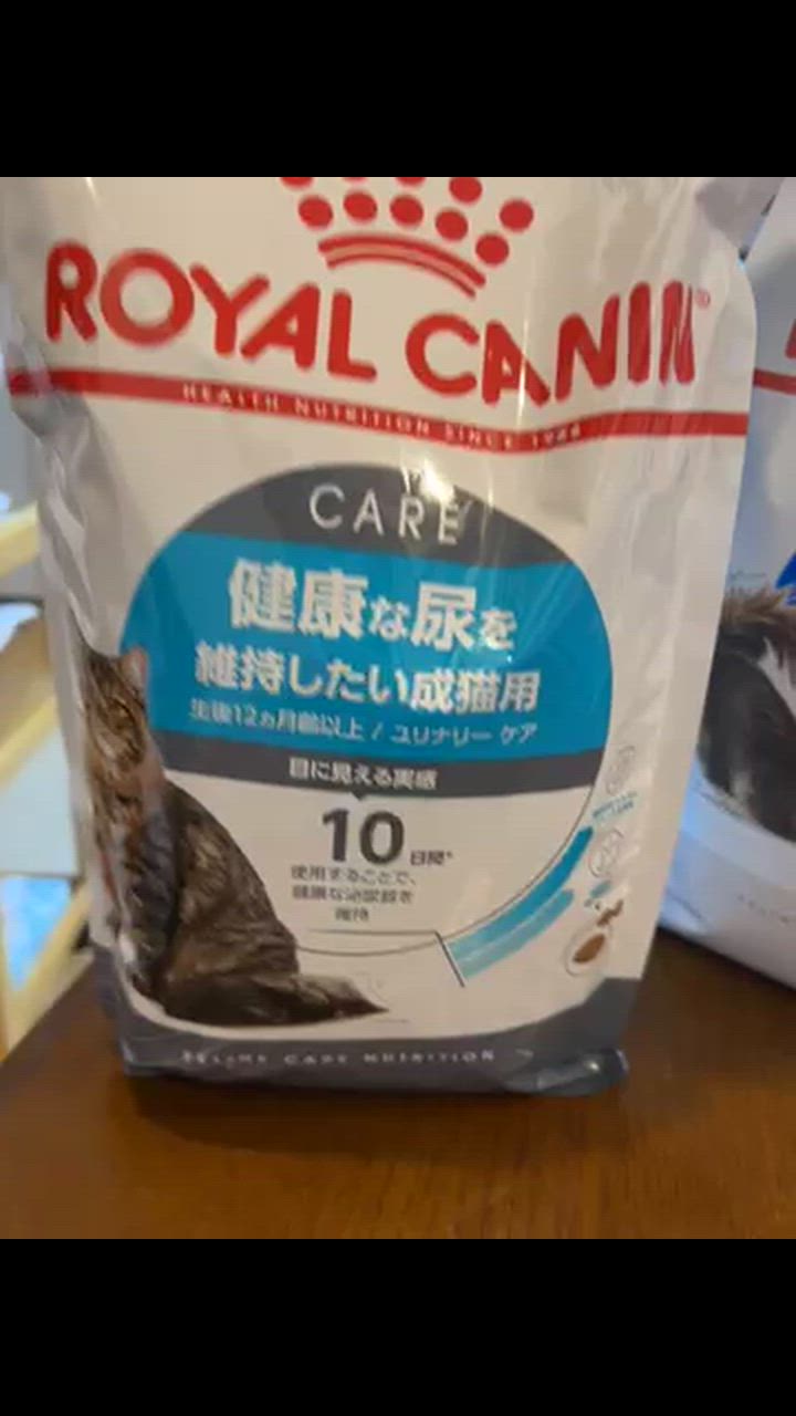  CANIN 健康な尿を維持したい猫用2kg×2 フィーライン ケア ニュートリション □15％PayPayポイント