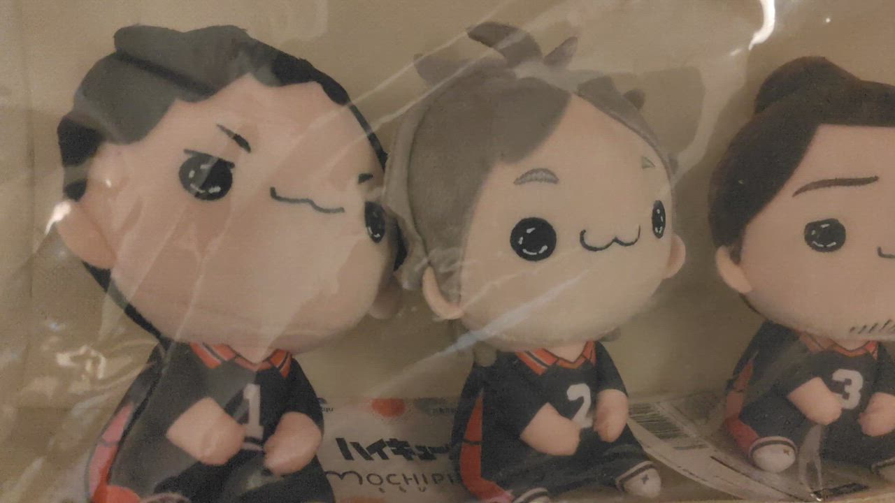 ハイキュー!! もちぴこぬいぐるみ5 全3種セット 菅原 東峰 澤村 ハイキュー もちぴこぬいぐるみ⑤ 菅原 澤村 東峰 全3種セット②