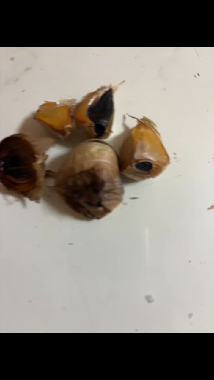 全体のレビュー動画のサムネイル | 7