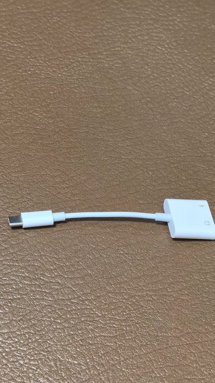 Type-CケーブルタイプCイヤホン変換Iphone充電音声通話音楽アイフォン: Type-c 充電 イヤホン ケーブル 白 DAC タイプC 3.5mm イヤホン