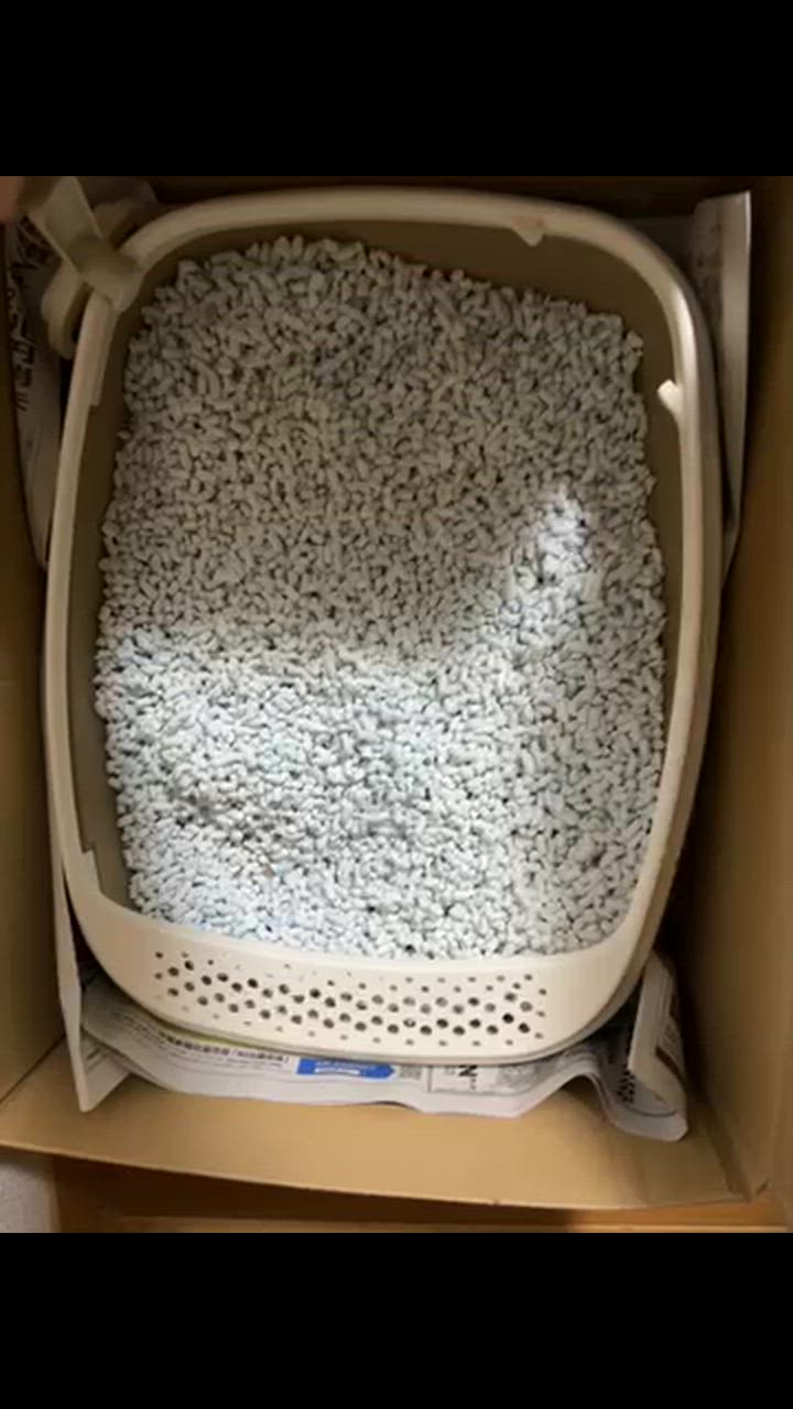 全体のレビュー動画のサムネイル | 3