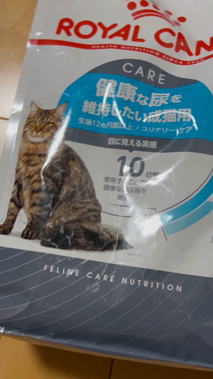 全体のレビュー動画のサムネイル | 1