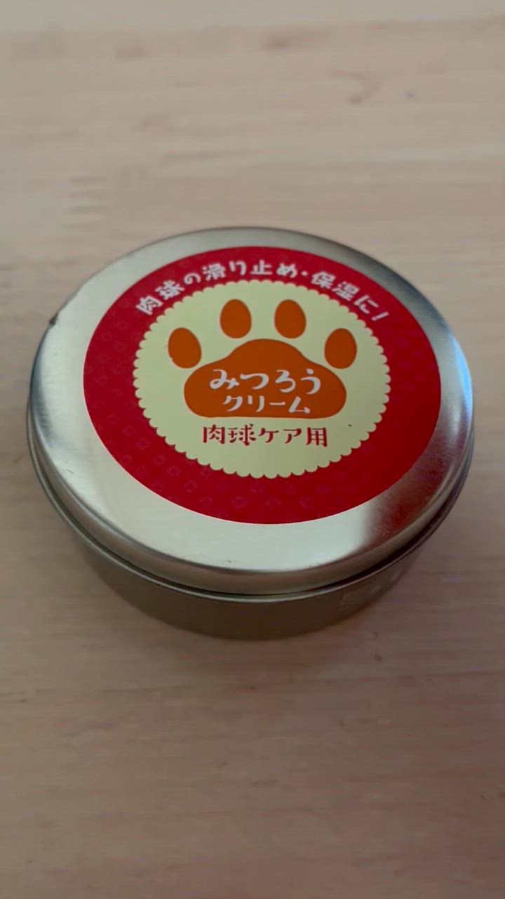 全体のレビュー動画のサムネイル | 0