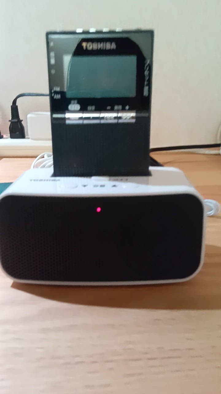 TOSHIBA 東芝 スピーカー付きポケットラジオ TY-SPR8 : は