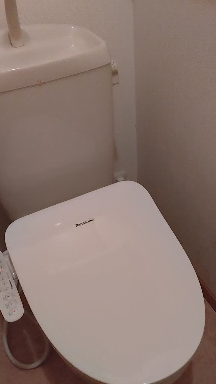 【新品未開封】Panasonic 温水洗浄便座 CH951SWS [ホワイト]⑩ Panasonic PANASONIC CH951SWS ホワイト ビューティー・トワレ