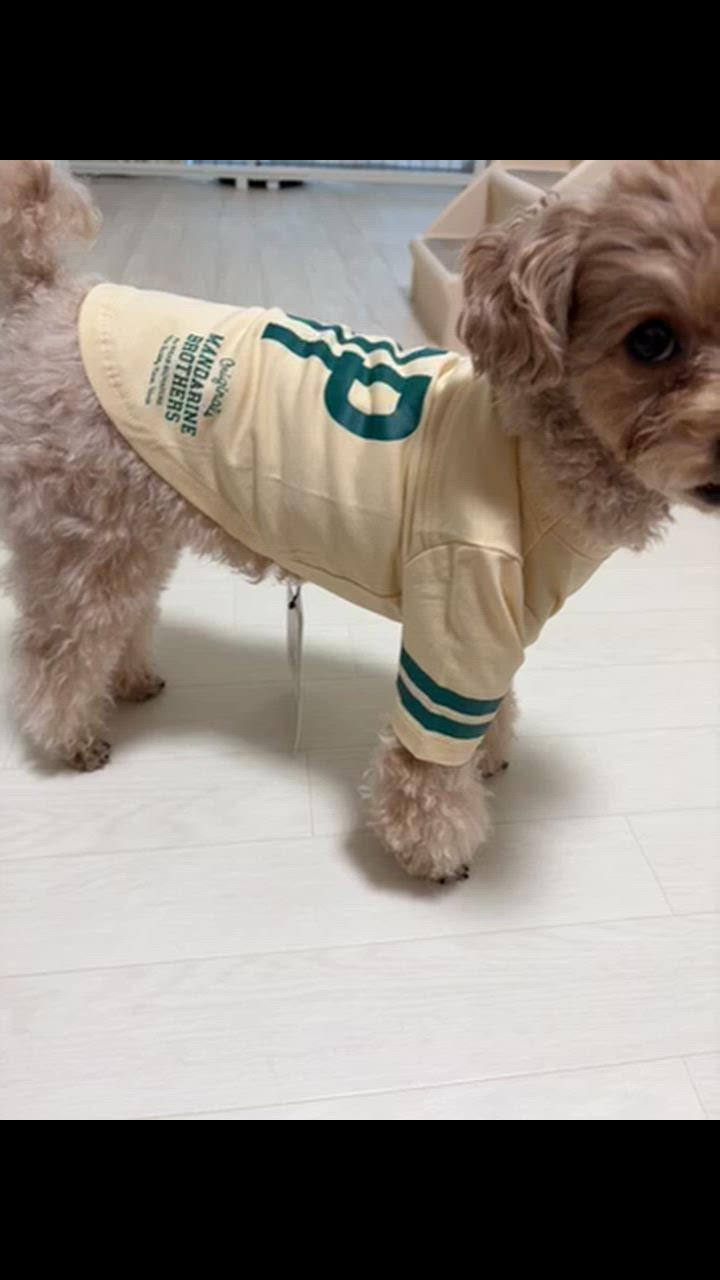 1件目のレビュー動画のサムネイル | 0