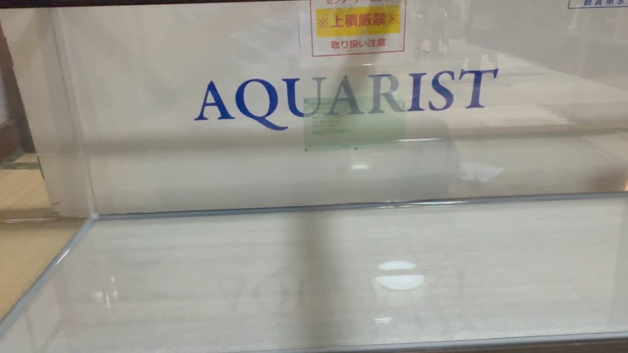 コトブキ工芸 送料無料 コトブキ 120cmガラス水槽 KC