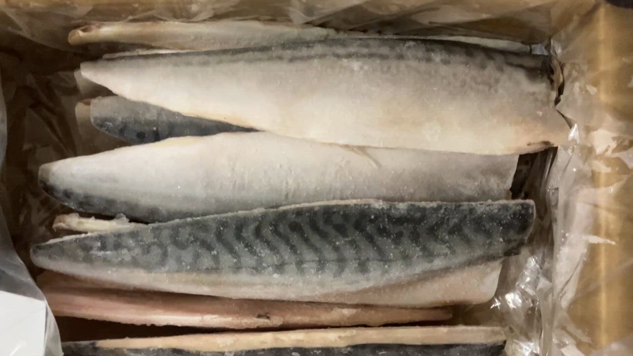 蔵出し　骨？銚子？ ふるさと納税 銚子市 【訳あり】 骨取り 無塩さば 2kg 千葉県