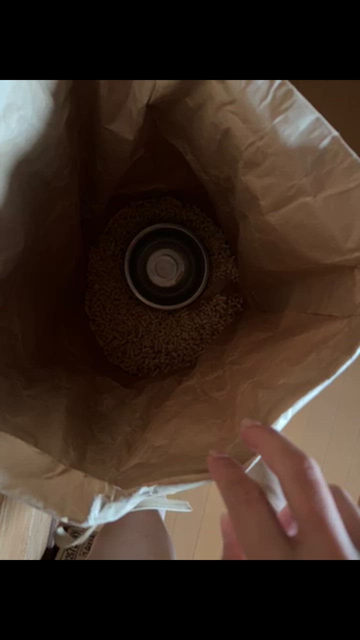 全体のレビュー動画のサムネイル | 1