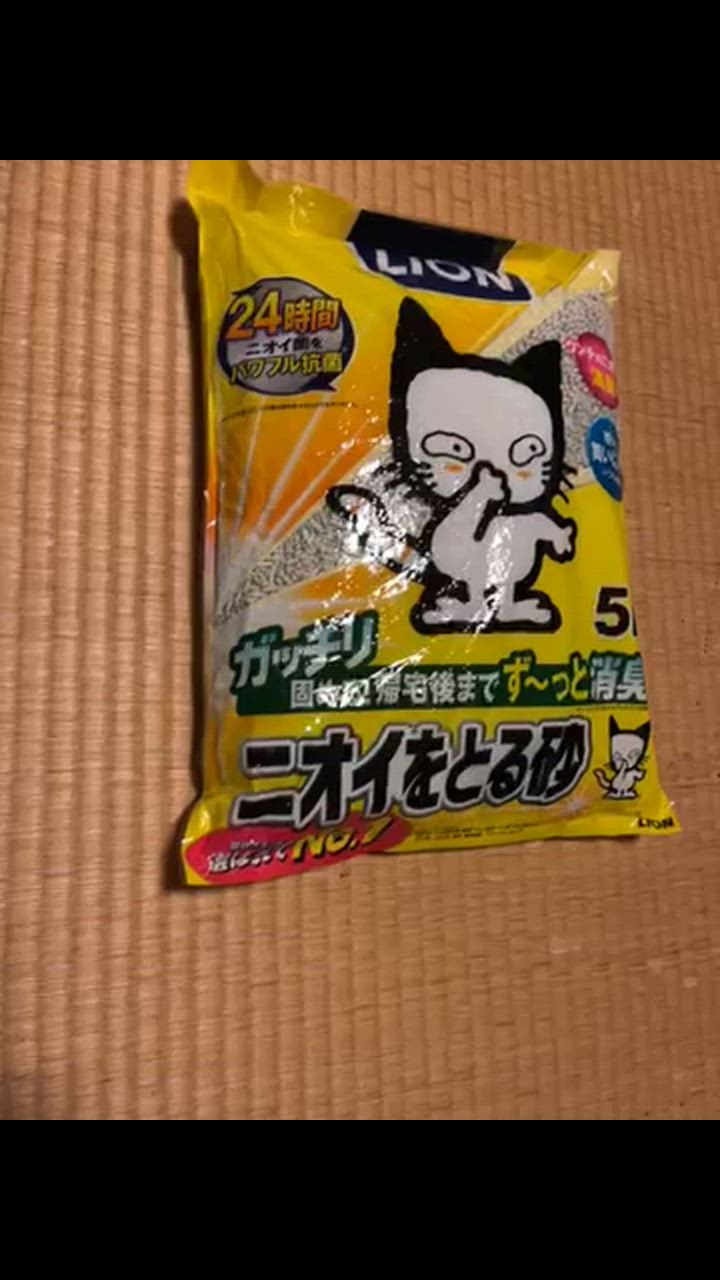 全体のレビュー動画のサムネイル | 1