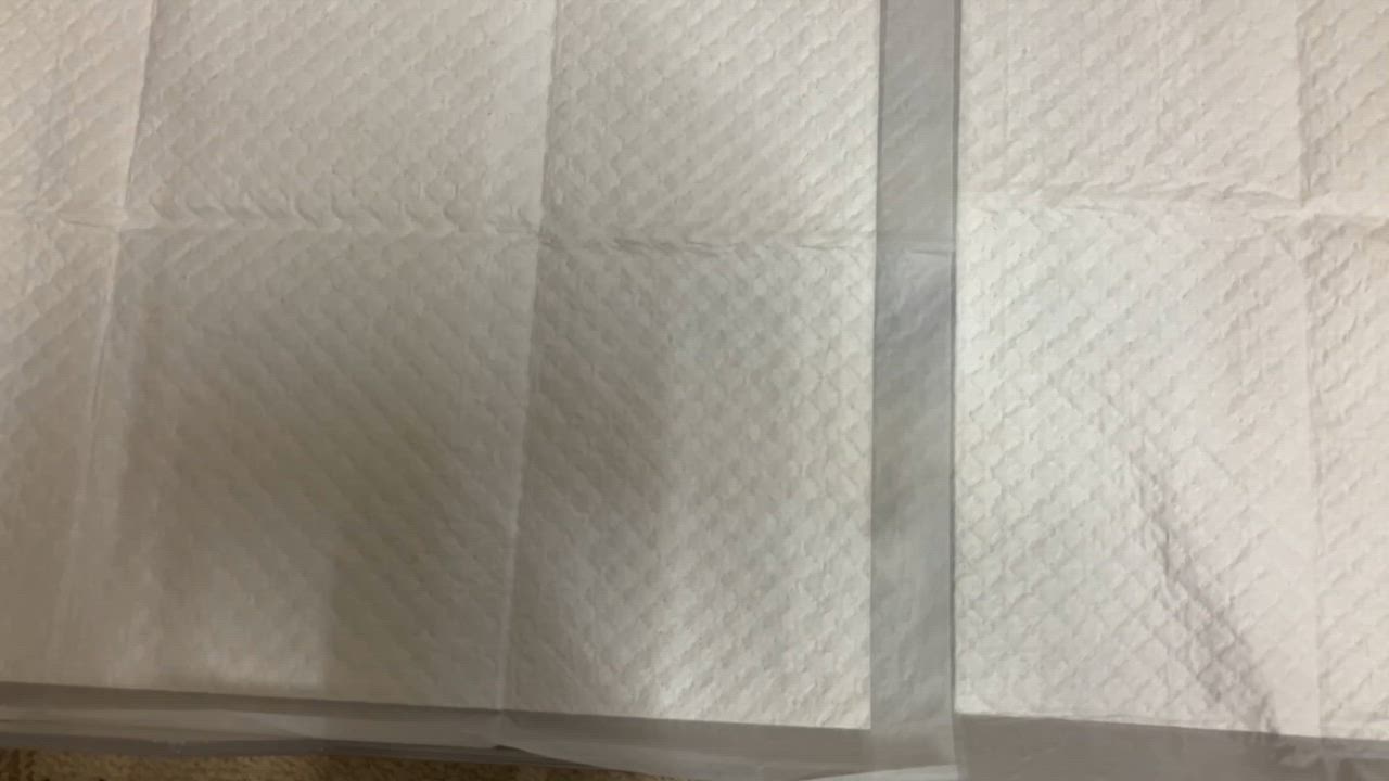 全体のレビュー動画のサムネイル | 16