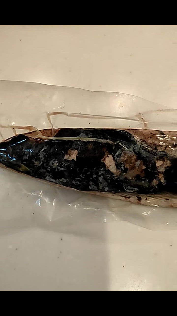 全体のレビュー動画のサムネイル | 1