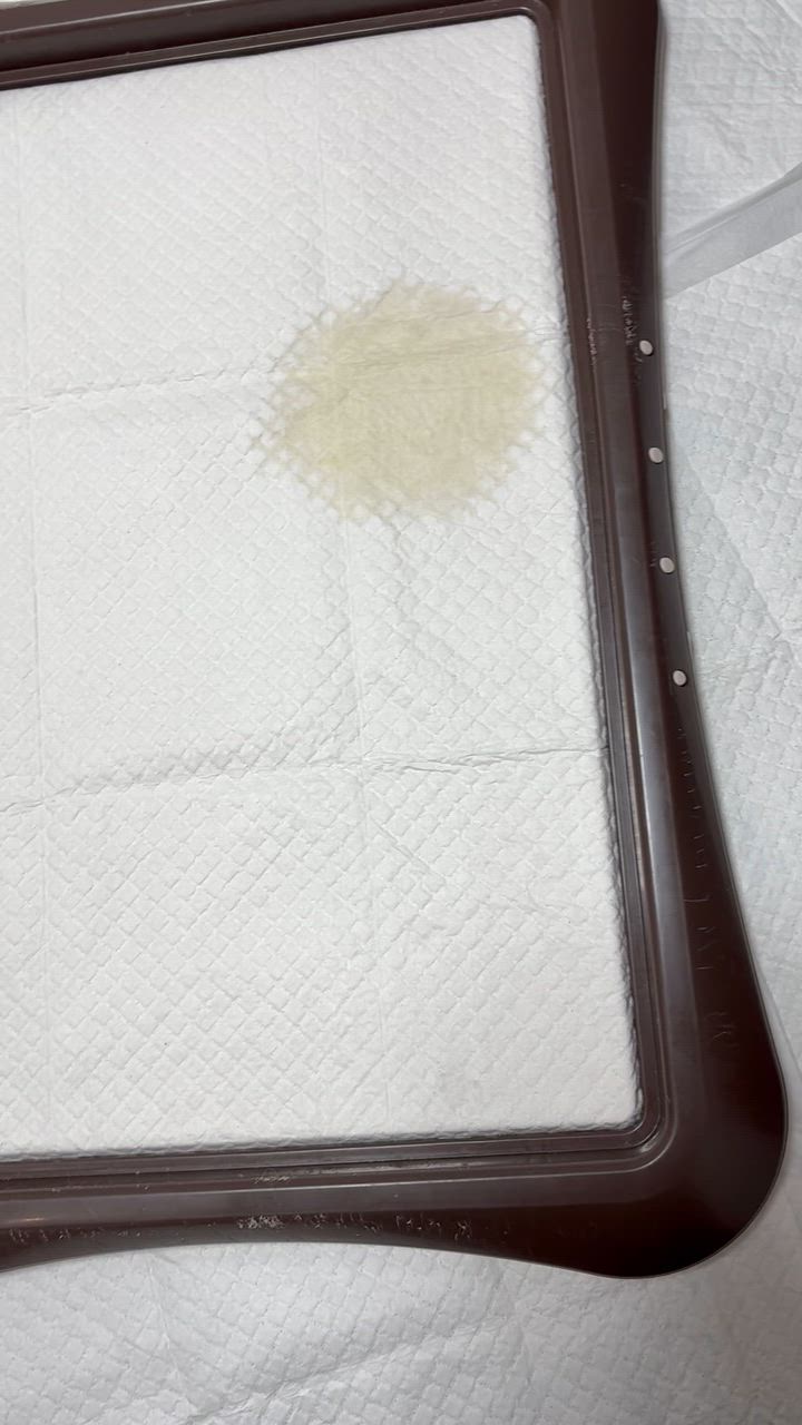 全体のレビュー動画のサムネイル | 14