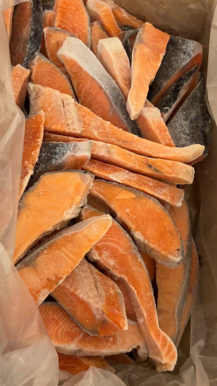 全体のレビュー動画のサムネイル | 14