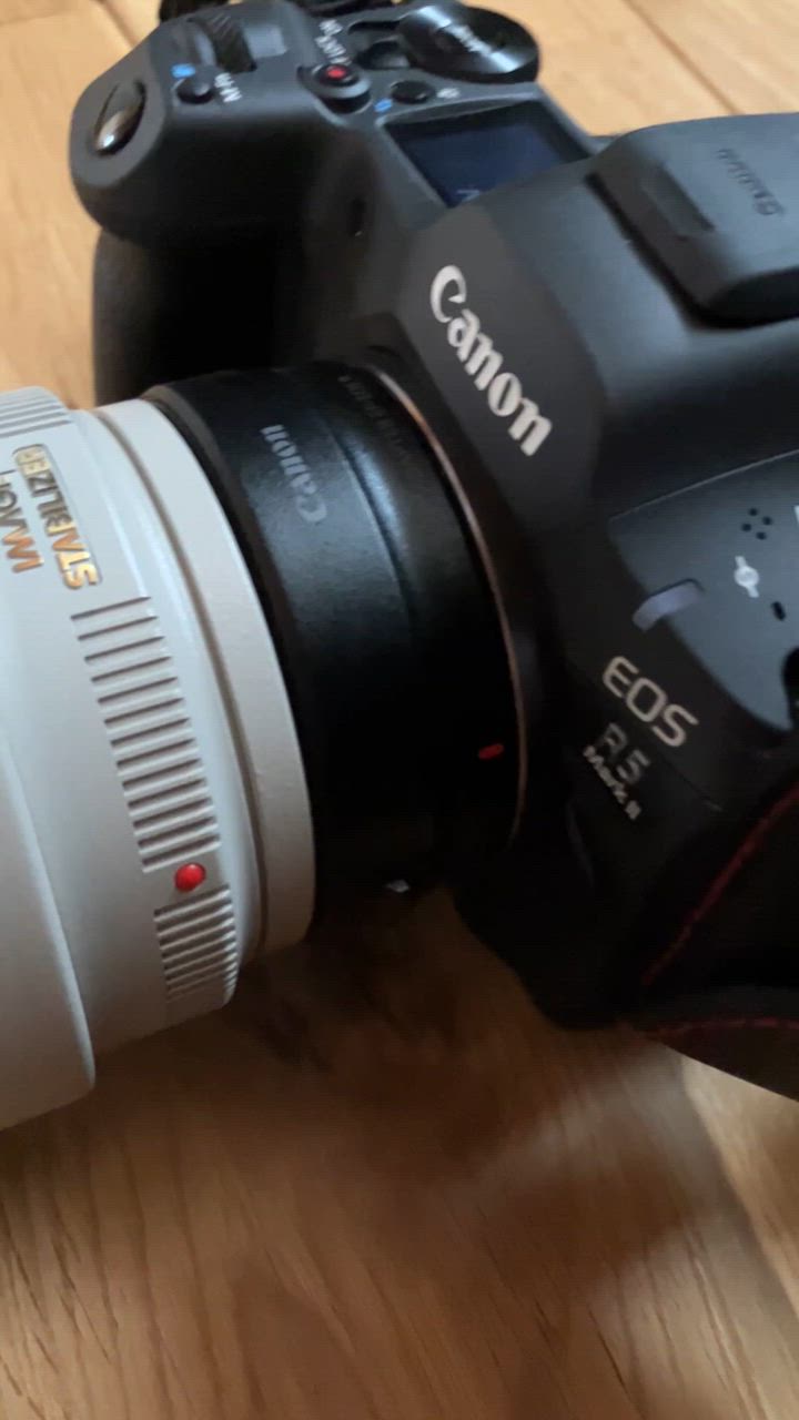 【新品未使用】キヤノン マウントアダプター EF−EOSＲ Amazon | キヤノン マウントアダプター EF-EOS R EOSR対応 EF