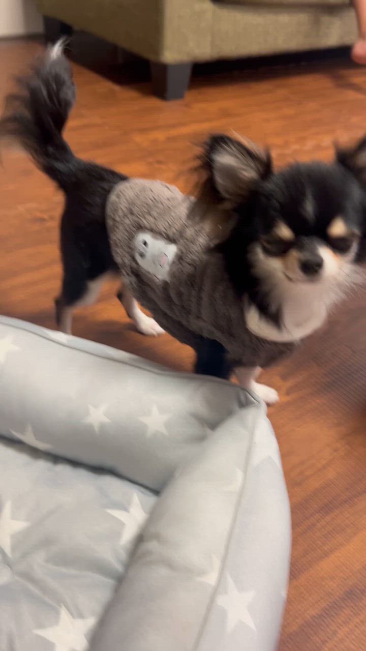 全体のレビュー動画のサムネイル | 2