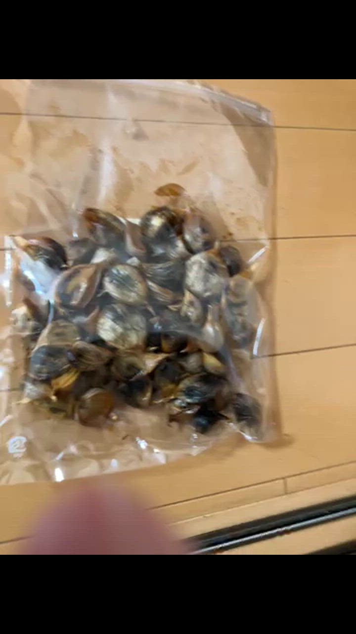 全体のレビュー動画のサムネイル | 6