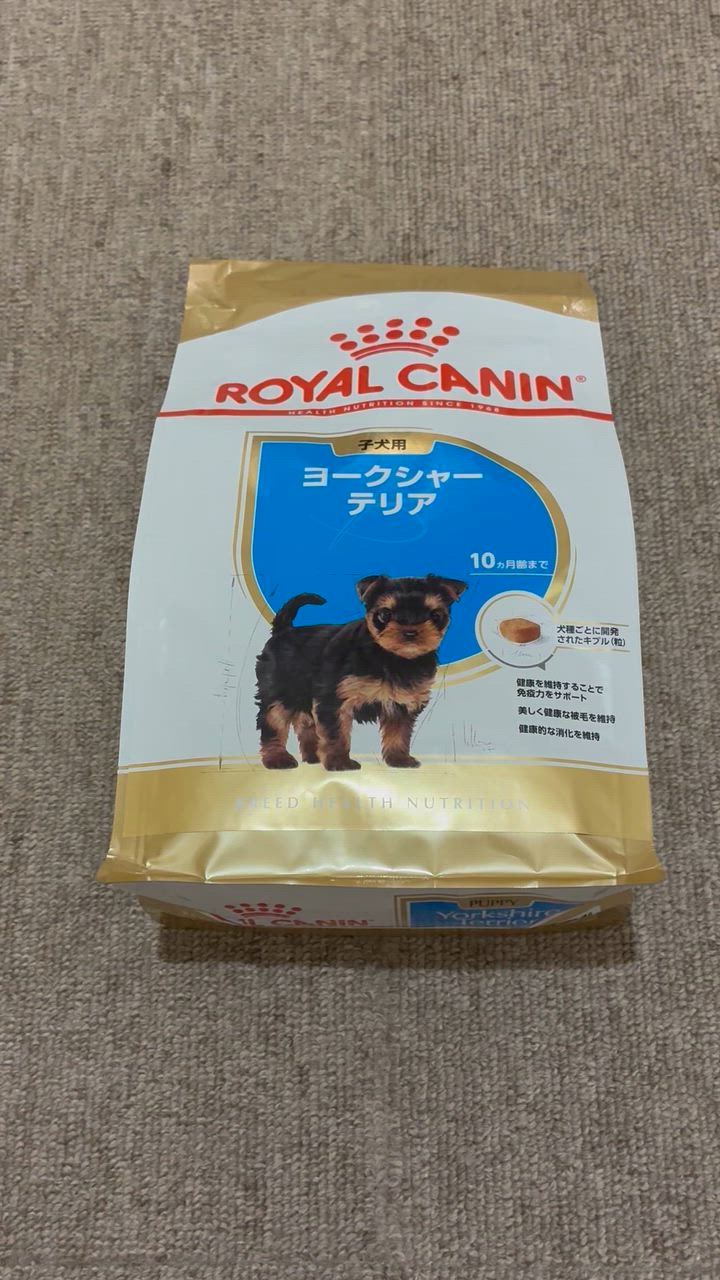 全体のレビュー動画のサムネイル | 0