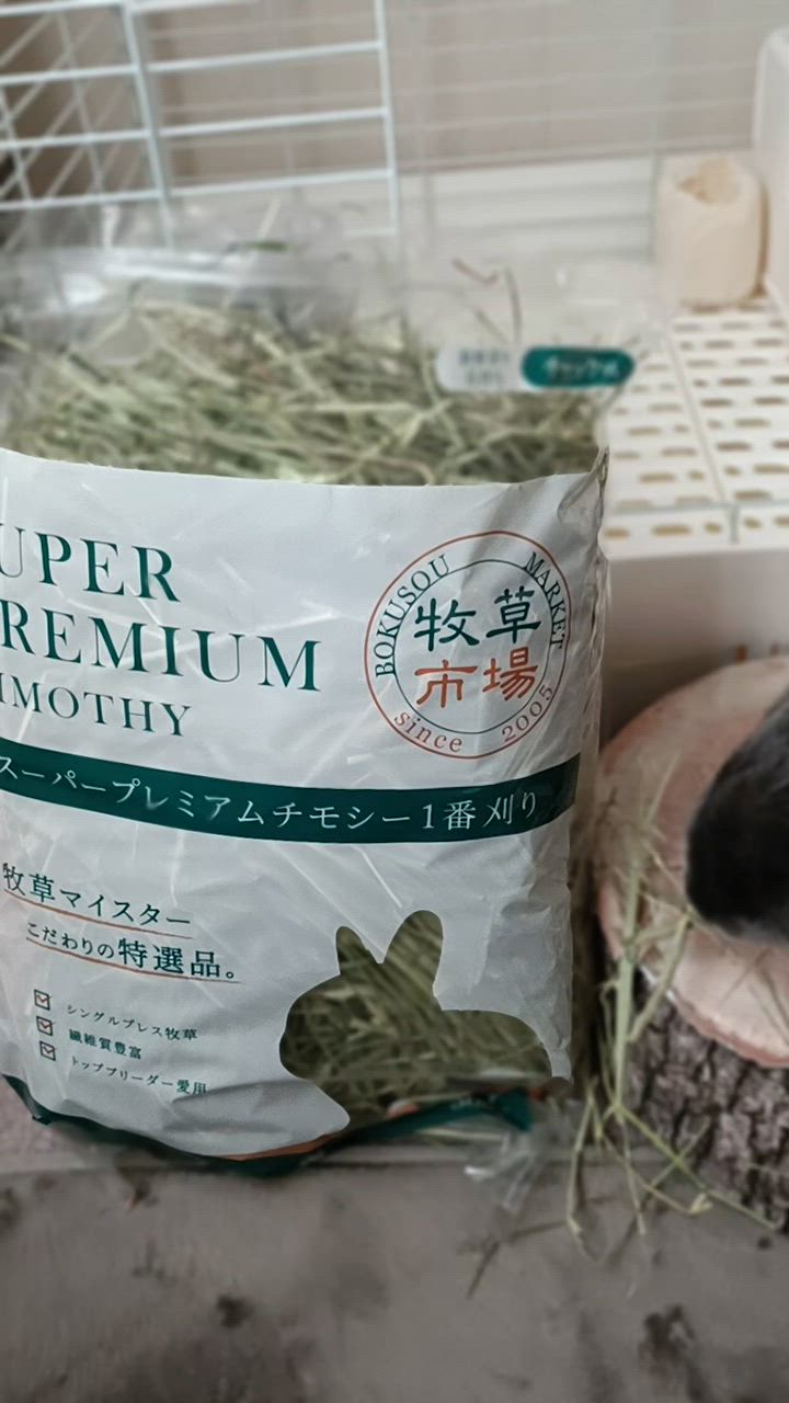 全体のレビュー動画のサムネイル | 1