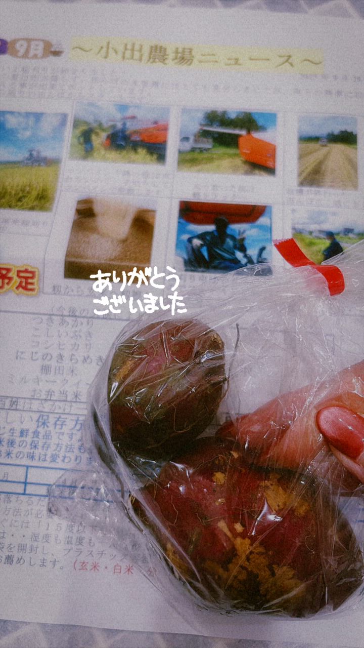 全体のレビュー動画のサムネイル | 0